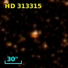 HD 313315
