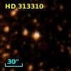 HD 313310