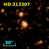 HD 313307