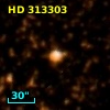 HD 313303