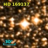 HD 169137