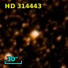 HD 314443