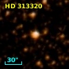 HD 313320