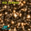 HD 314460