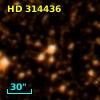 HD 314436