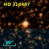 HD 314487