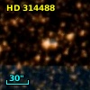 HD 314488