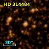HD 314484