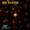 HD 313376