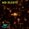 HD 313375