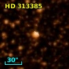 HD 313385