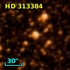 HD 313384
