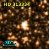 HD 313334