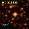 HD 313333
