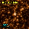HD 314566