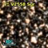 V* V2558 Sgr