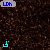 LDN  313
