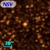 NSV 10781