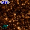 NSV 10784