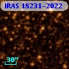 IRAS 18231-2022