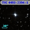 TYC 4493-2398-1