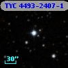 TYC 4493-2407-1
