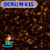 [SC95] M 615