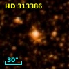 HD 313386