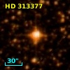 HD 313377