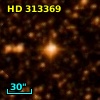 HD 313369