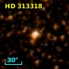 HD 313318