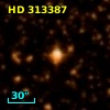 HD 313387