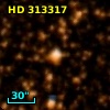 HD 313317