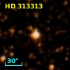 HD 313313