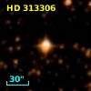 HD 313306