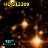 HD 313309