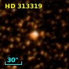 HD 313319