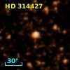 HD 314427