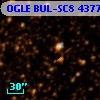 OGLE BUL-SC8  43772