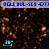 OGLE BUL-SC8  43773