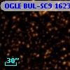 OGLE BUL-SC9  16233