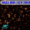 OGLE BUL-SC9 205889