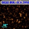 OGLE BUL-SC9 289133