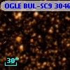 OGLE BUL-SC9 304642