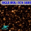 OGLE BUL-SC9 160751