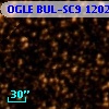 OGLE BUL-SC9 120234
