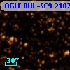 OGLE BUL-SC9 210210