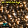 V* V5568 Sgr