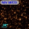 NSV 10723