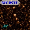NSV 10733